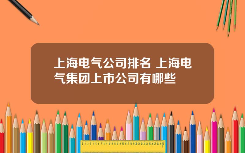上海电气公司排名 上海电气集团上市公司有哪些
